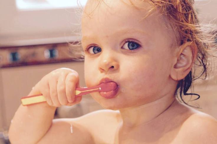 11915443_1601396586790017_8011856033079416140_n