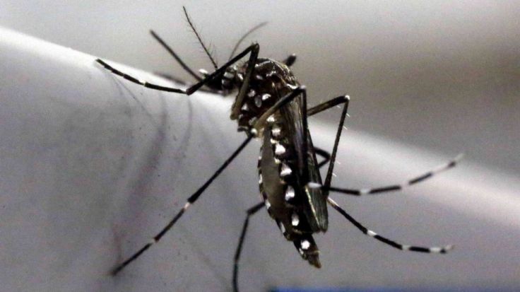 reu_20160203_032341639