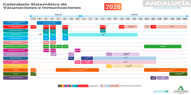 Calendario sistemático de vacunaciones e inmunizaciones de Andalucía 2026, imagen oficial de Andavac